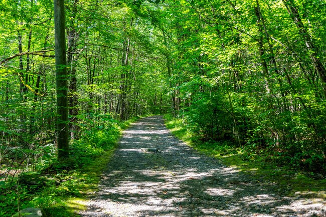 Hampden Street Park in Chester offers wooded trails and quiet paths through 8 acres of natural beauty.