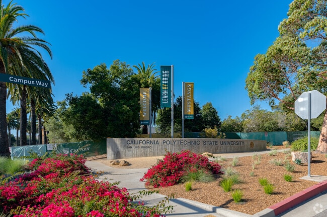 Cal Poly State University is near Santa Rosa, making it an ideal area for your college student.