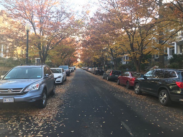 1843 Lamont St NW unit Basement, Washington, DC 20010 - photo 2