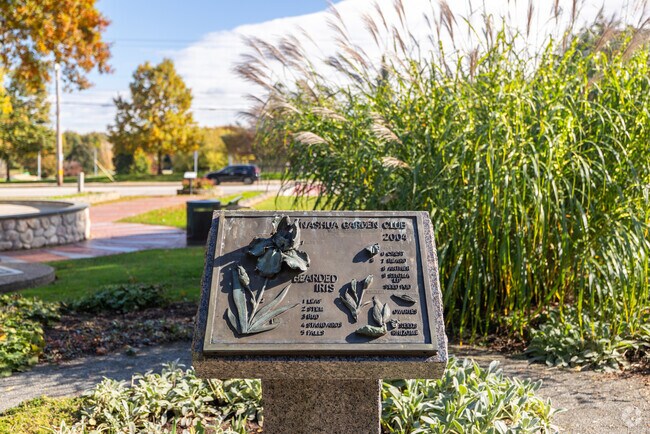 Learn about the foliage at Greeley Park in North End Nashua, NH.