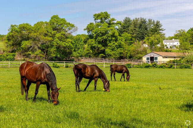 Franklin Township’s lush landscapes are dotted with horse farms, offering a serene, pastoral vibe and strong equestrian culture.