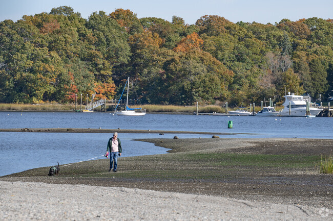 Walking the dog is an opportunity to enjoy the waterfront of the Narrows neighborhood.