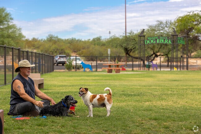 Lincoln Park's, Wagging Tails Dog Park, is the largest dog park in the city of Tucson.