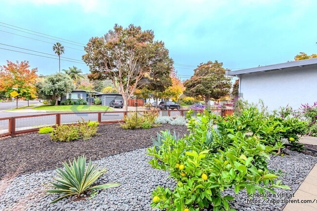 3040 Blane Way, Napa, CA 94558 - photo 6