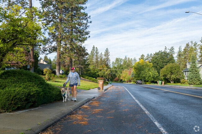 Residents of the Rockwood neighborhood are very active in the summer months.