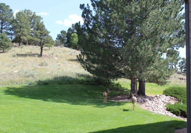 Center Pointe, Colorado Springs, CO 80919 - photo 6