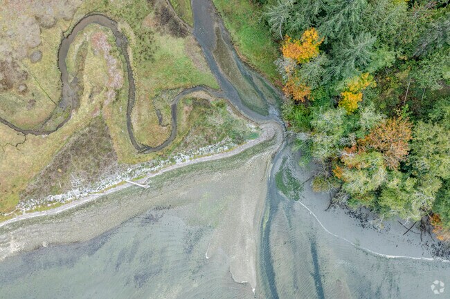 At the end of Anderson Landing Preserve you will find a stunning beachside in Olympic View WA.