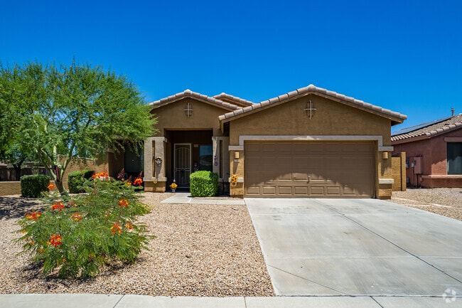 Desert landscaping in Estrella Mountain features vibrant Red Bird of Paradise blooms.