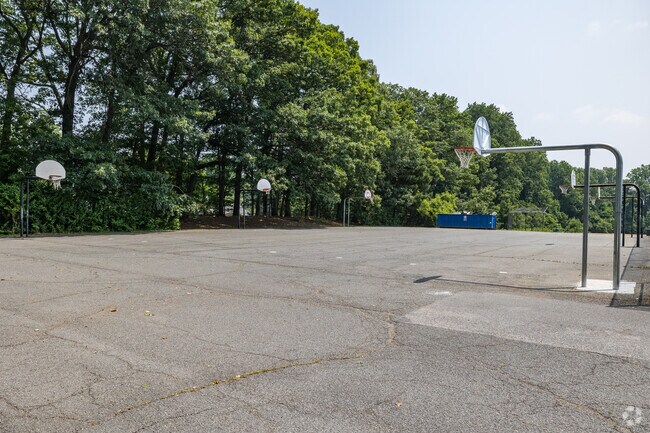 Catch a game of basketball at Irving Middle School.
