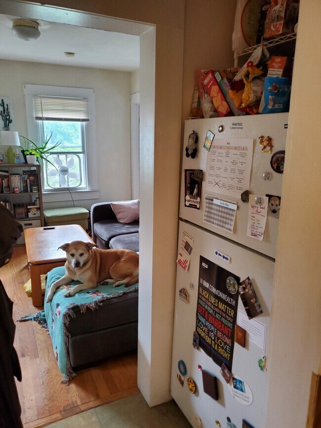 17 Bay St unit 3R, Cambridge, MA 02139 - photo 5