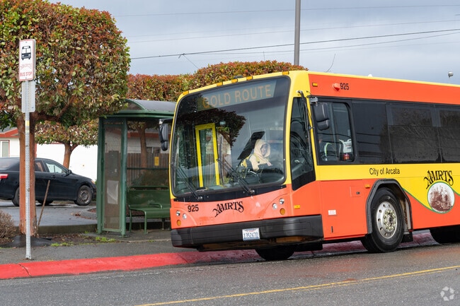 Public transportation is readily available in Samoa Boulevard.