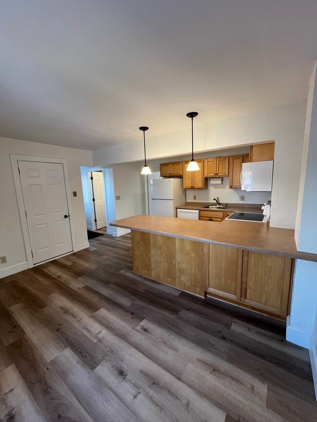 1625 Walnut St unit 3, Hastings, MN 55033 - photo 2