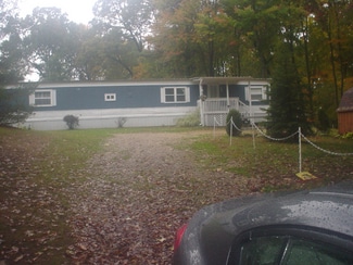 12777 Butternut Ave, Sand Lake, MI 49343