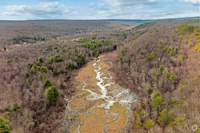 Aerial views showcase the beautiful Flat Brook River in Montague, NJ.