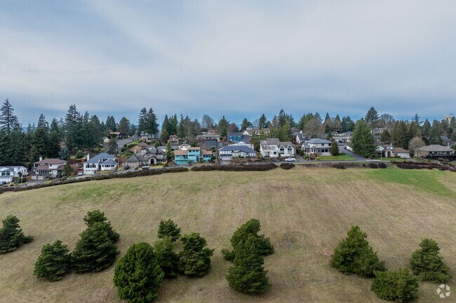 Homes are built on top of the rolling hills that surround the city of Mount Vista.