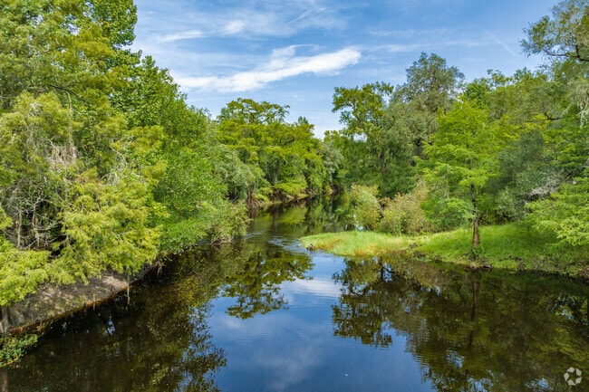 Serene kayak adventures await on the Withlacoochee River in Ridge Manor.