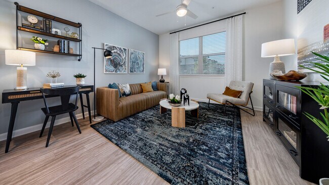 Allora  River Ridge, New Port Richey, FL - photo 5