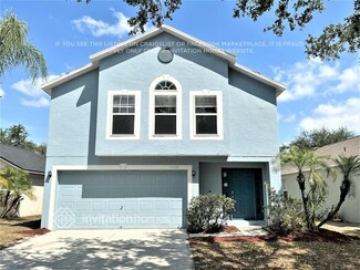 11154 Summer Star Dr, Riverview, FL 33579