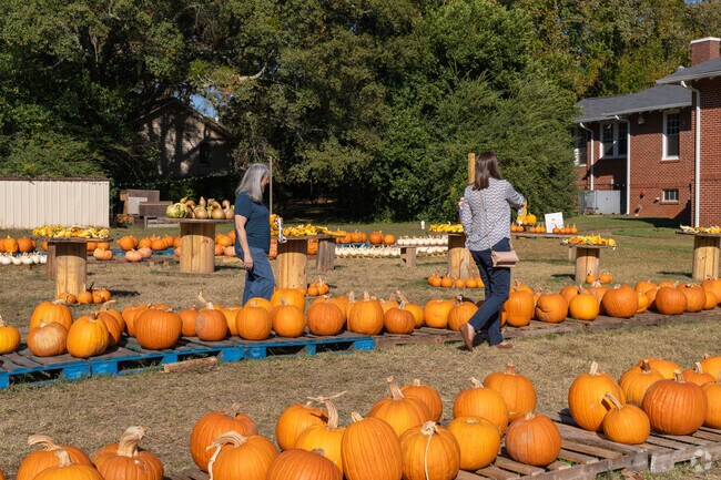 Chicopee Village residents enjoy holding community events such as this pumpkin patch.