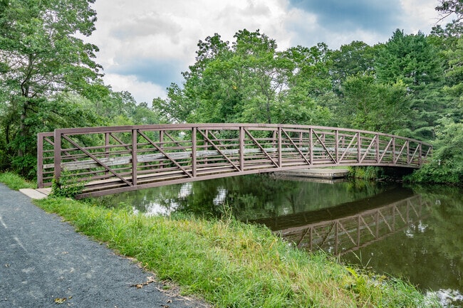 Step into a peaceful oasis along Somerset's enchanting canal.