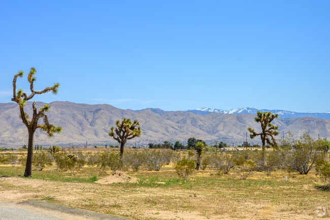 Hesperia Palisades is surrounded by a beautiful desert landscape and Joshua Trees.