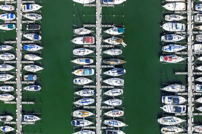 There are many different types of vessels kept at the Gulfport Marina in Bayview, Florida.