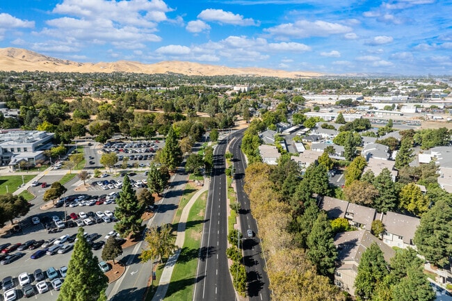 Tree-lined streets in Pittsburg offer shade and beauty through every neighborhood.