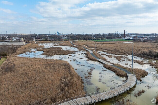Immerse yourself in nature on a walk through Southbridge Wetlands Park in South Wilmington.
