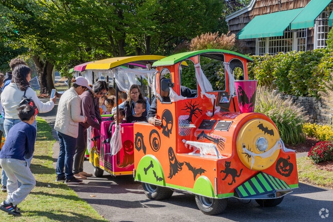 Ride the spooky train at Milleridge Annual Halloween Village.