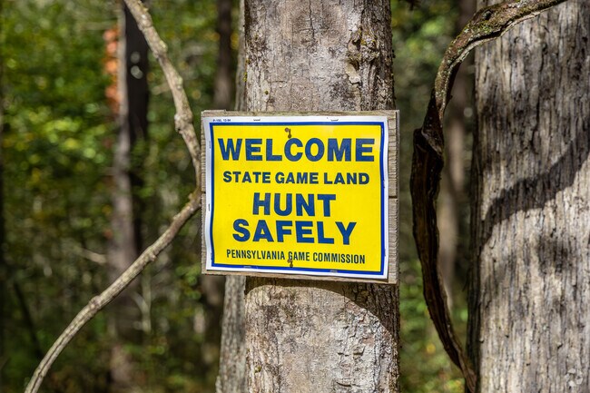 There are almost fifty thousand acres of dedicated hunting lands near Penn.