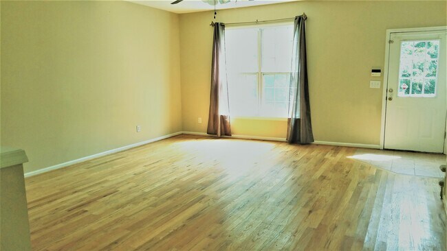 Living with Fireplace