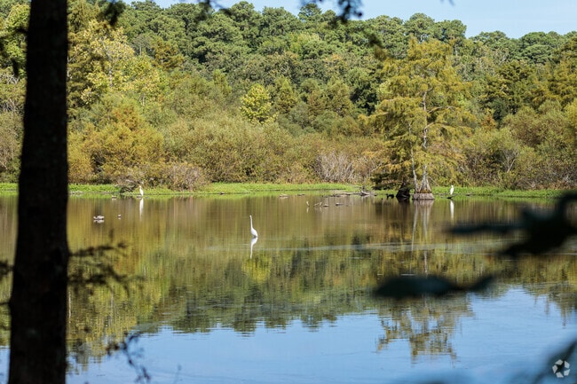 Look for local wildlife when at the Stumpy Lake Natural Area in Greenbrier East.