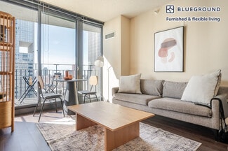 225 N Columbus Dr Unit FL31-ID1201, Chicago, IL 60601