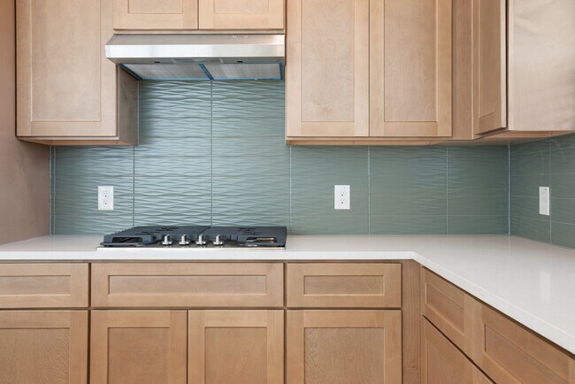 122 Dogvane Cir unit 36599097, Kyle, TX 78740 - photo 6