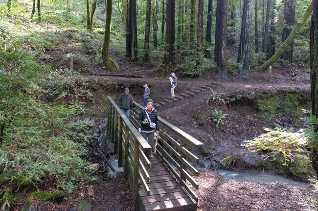 The Dawn Falls Trailhead is a great place to explore the forest and Larkspur Creek.