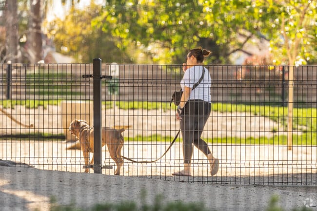 With wide open spaces, Maxwell Dog Park is a "puppy paradise" for residents of West Anaheim.
