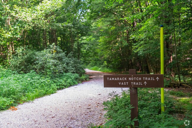 Locals can find various hiking trails throughout Aitken State Forest.