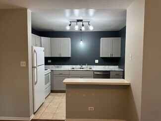 1324 N Geneva Dr Unit 3B, Palatine, IL 60074