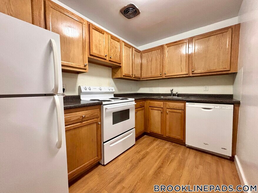 312 Tappan St unit 1, Brookline, MA 02445 - photo 1