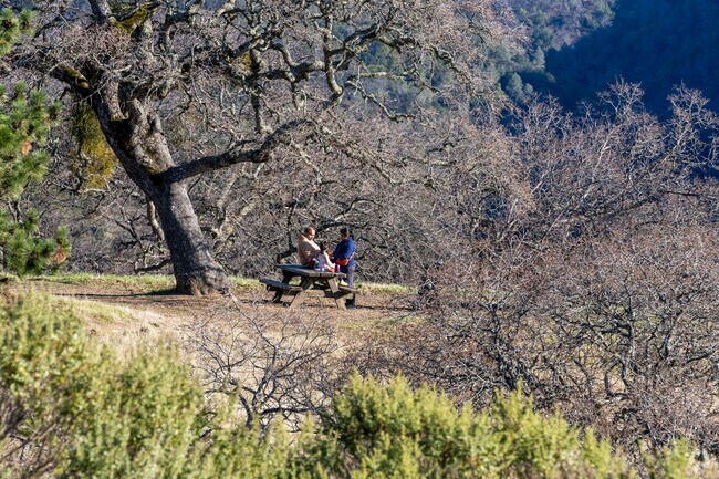 There are park benches at Henry Coe State Park for your family to enjoy.