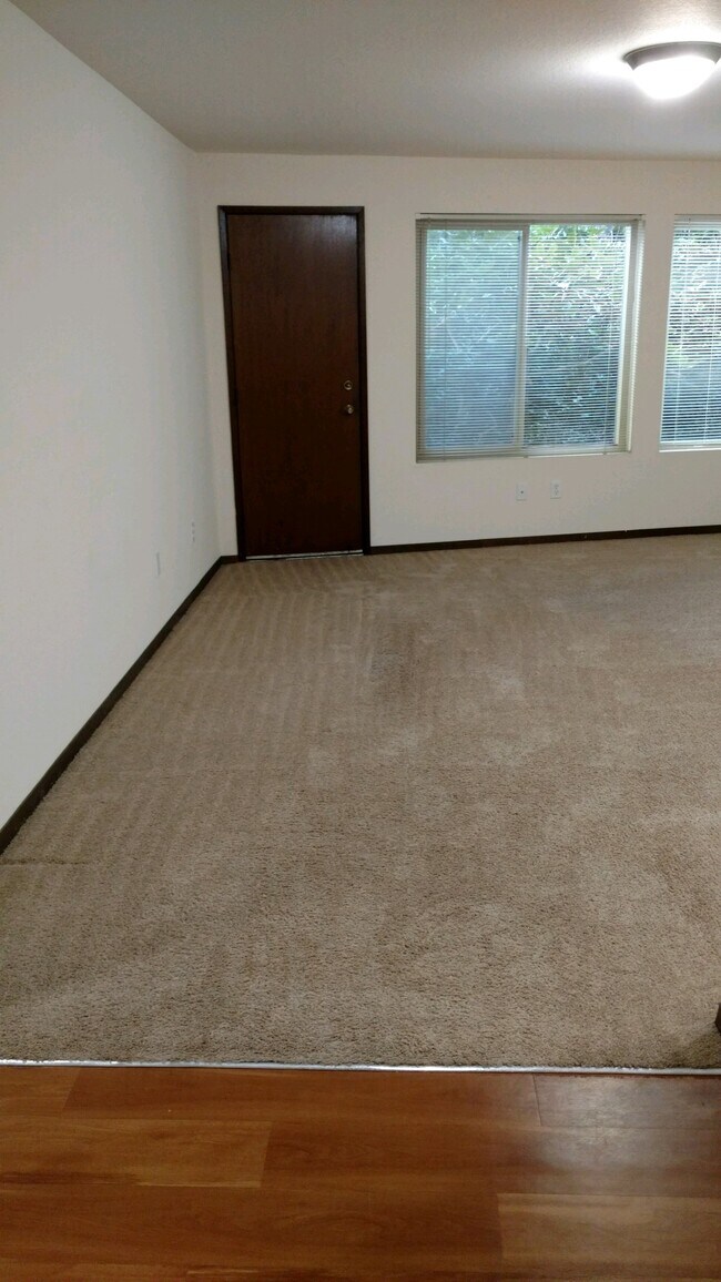 Pinehurst Apartments, Seattle, WA 98125 - photo 5