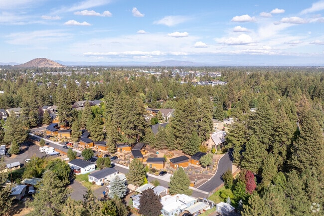 Old Farm District reveals picturesque homes and green spaces, blending history and charm.