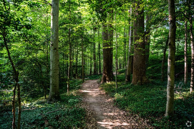 Lewis G. Larus Park has many shaded biking and hiking trails in the Southhampton neighborhood.