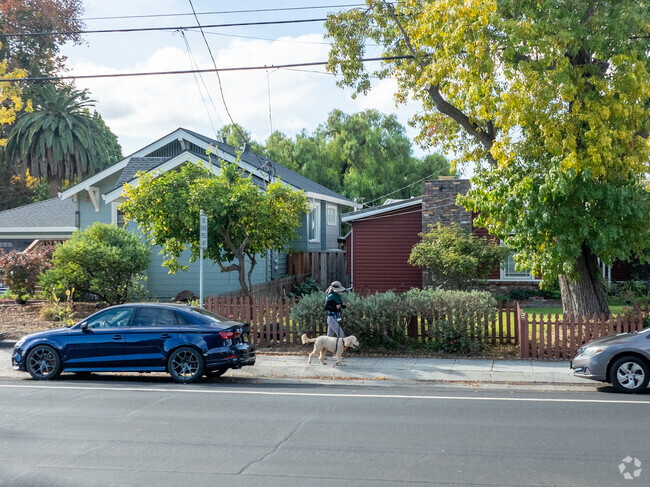Scenic walks with furry friends brighten quiet mornings in Old Palo Alto.