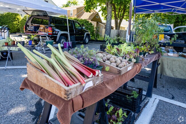 Saco Farmer's Market is a great place to support local farmers.