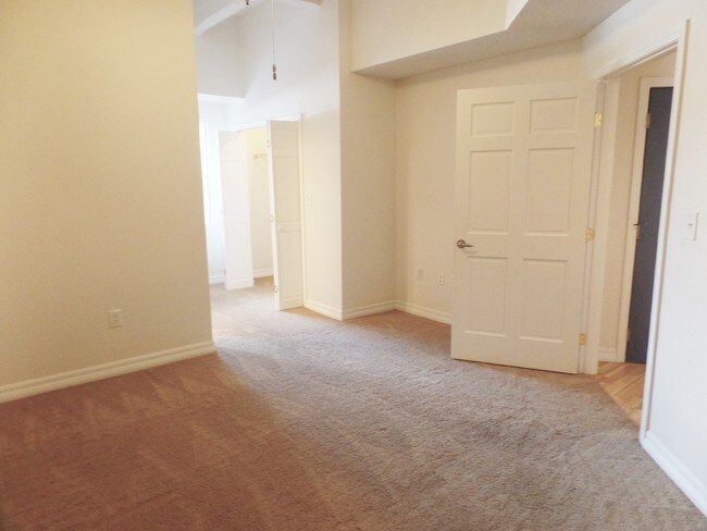 Gallery 3450, Saint Louis, MO 63104 - photo 7