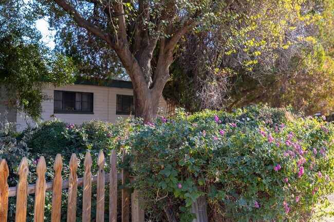 Clark Park is a mature neighborhood with plenty of greenery.
