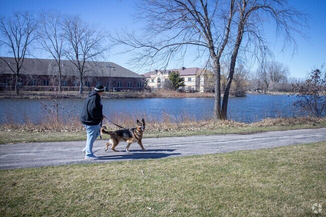 Cary residents can go on a relaxing walk with their dog.