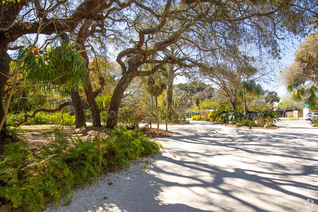 Locals can stroll through the USF Botanical Gardens, one of the many cultural attractions near the University Hillsborough area.