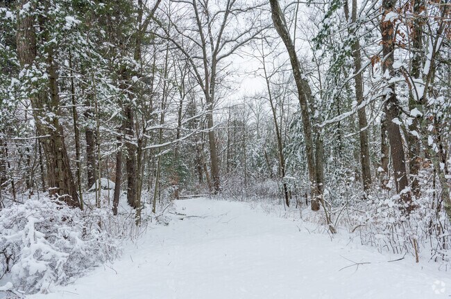 Martha Deering Wildlife during winter is just as mesmerizing as the rest of the seasons.